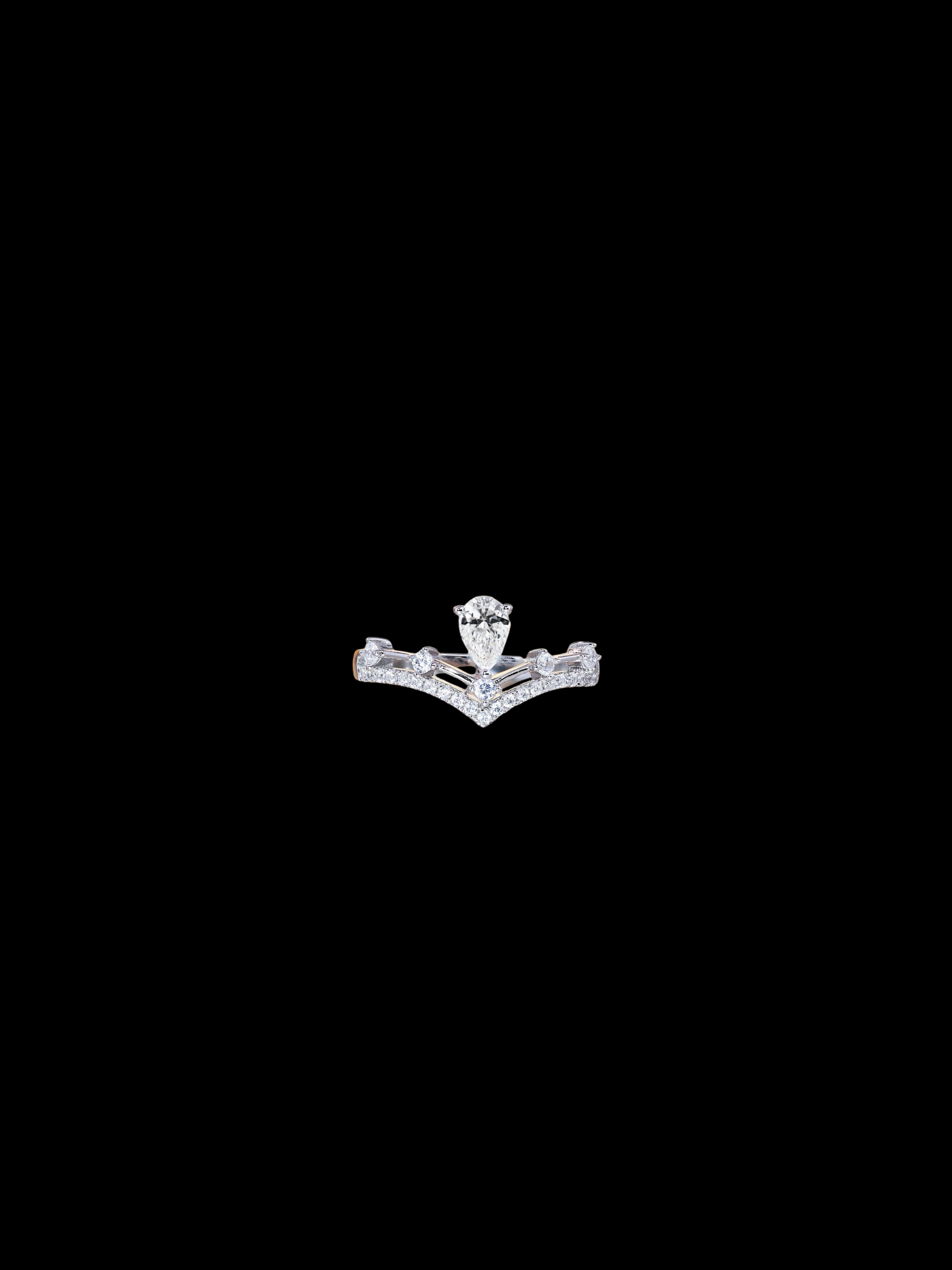 Shuro Ring