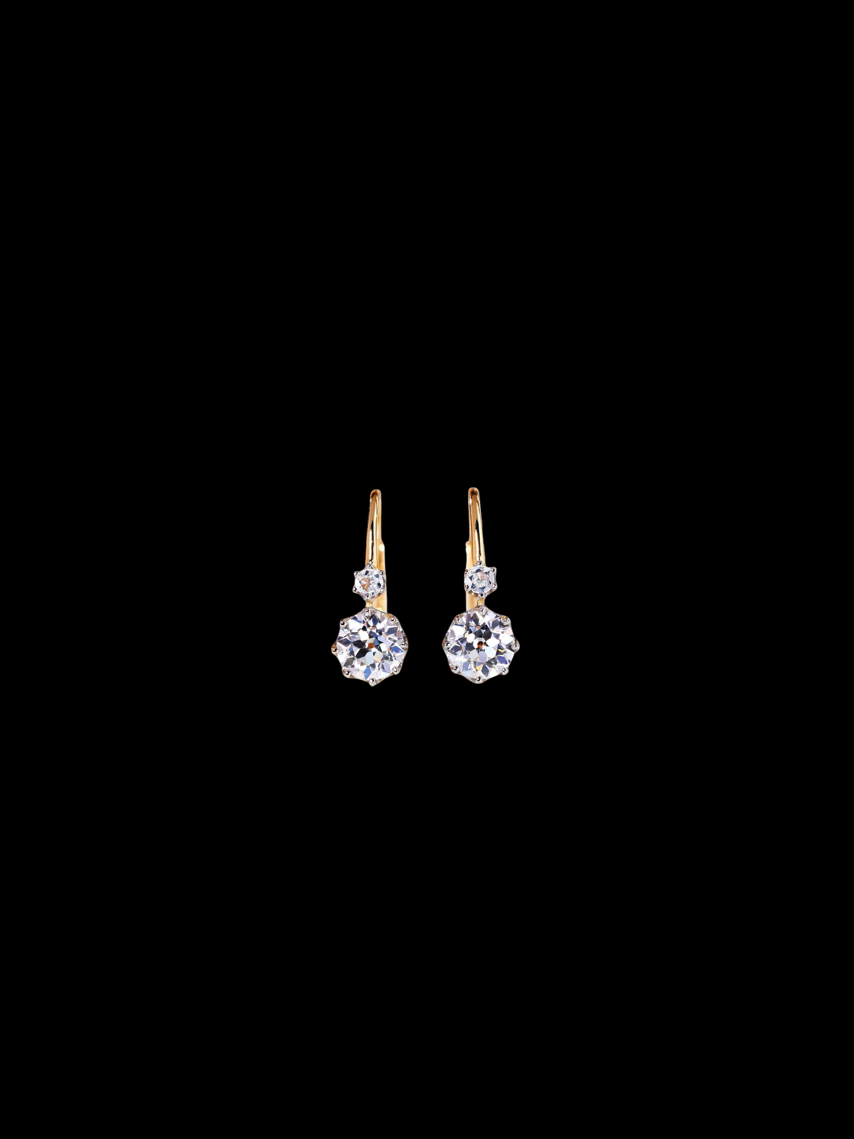 Dozon Earrings