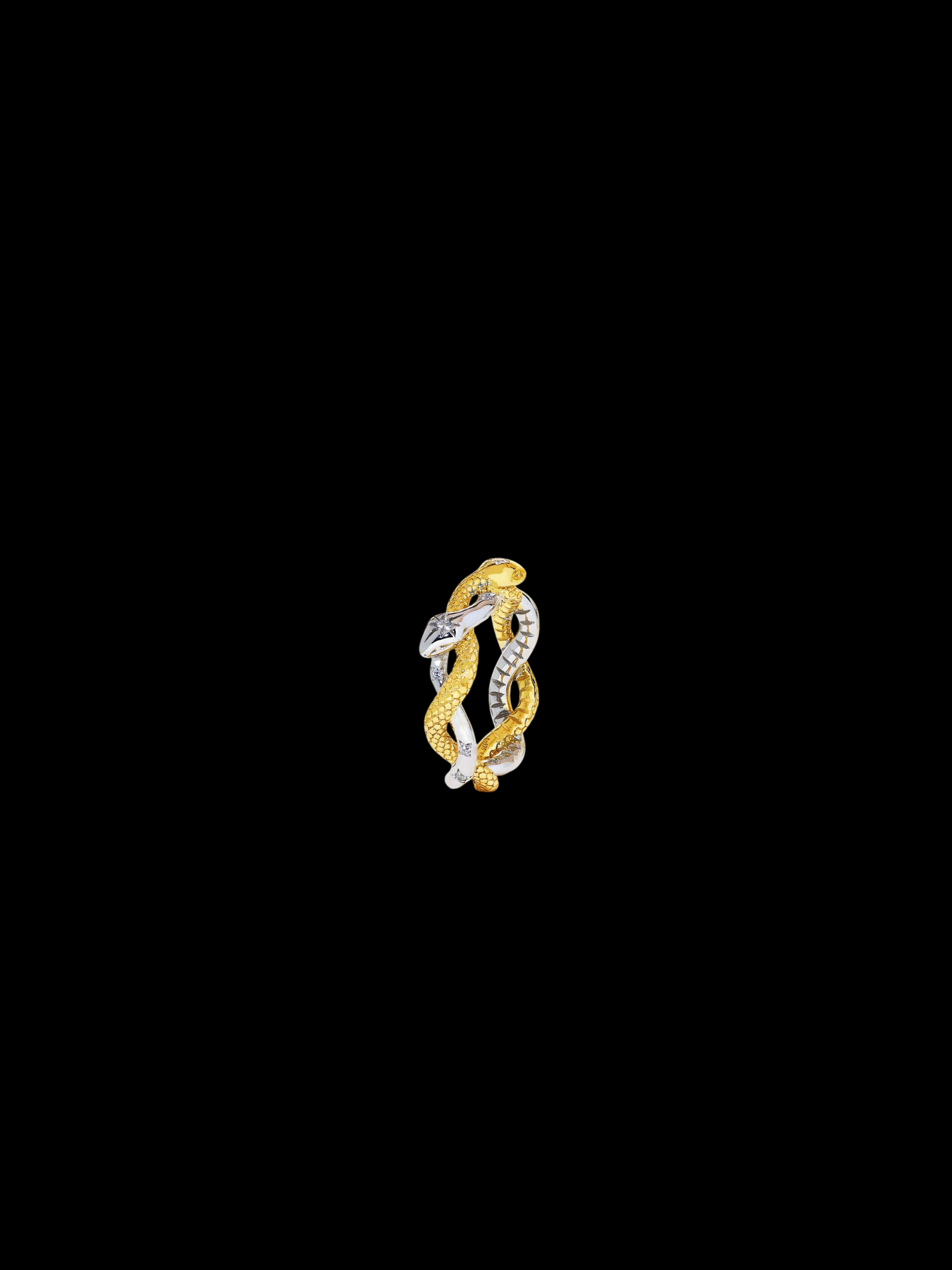 Kokuyo Ring