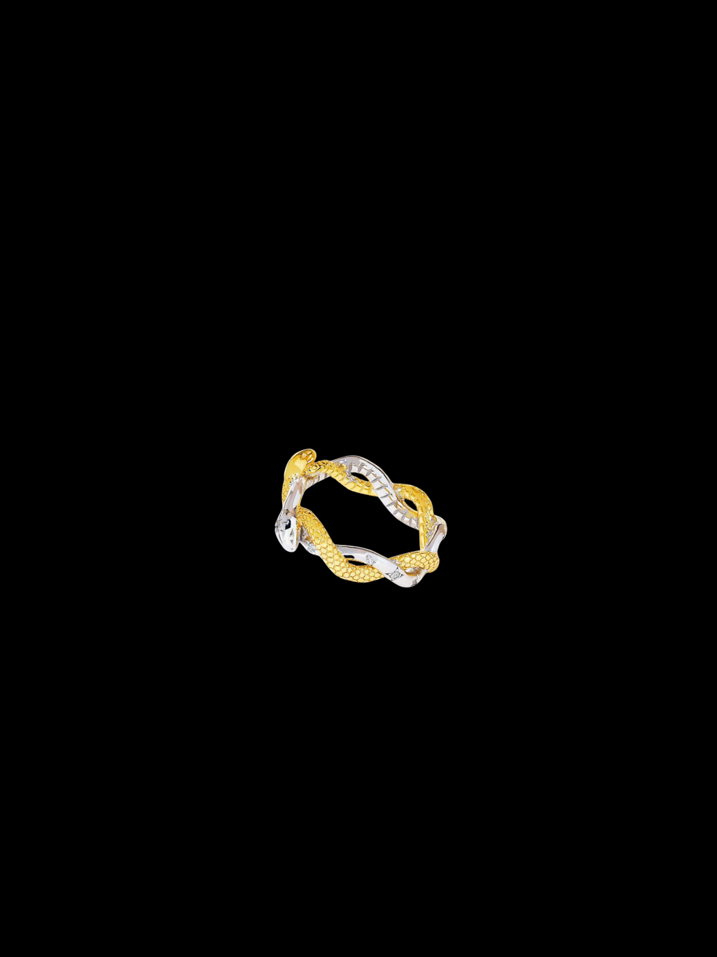Kokuyo Ring