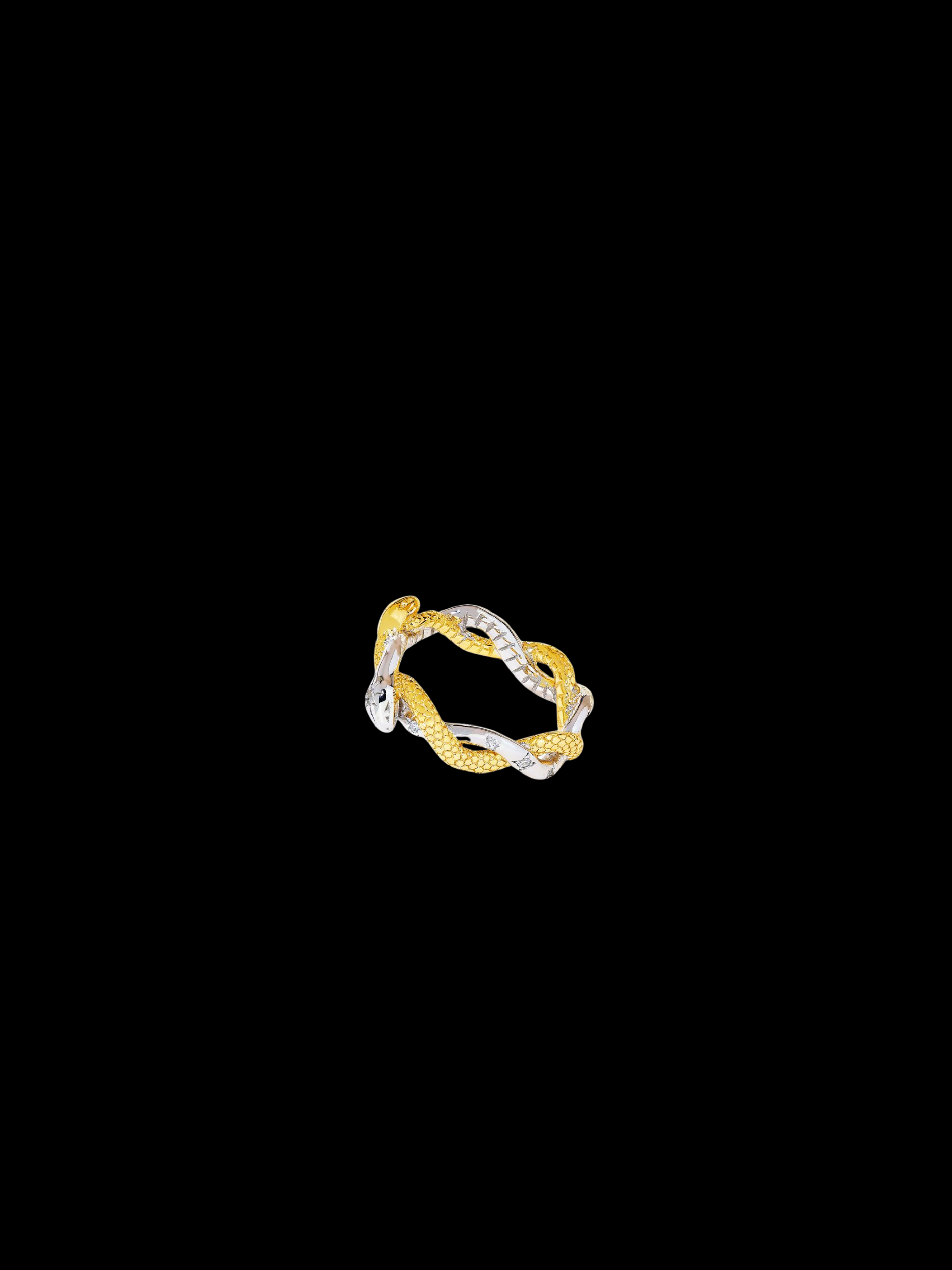 Kokuyo Ring