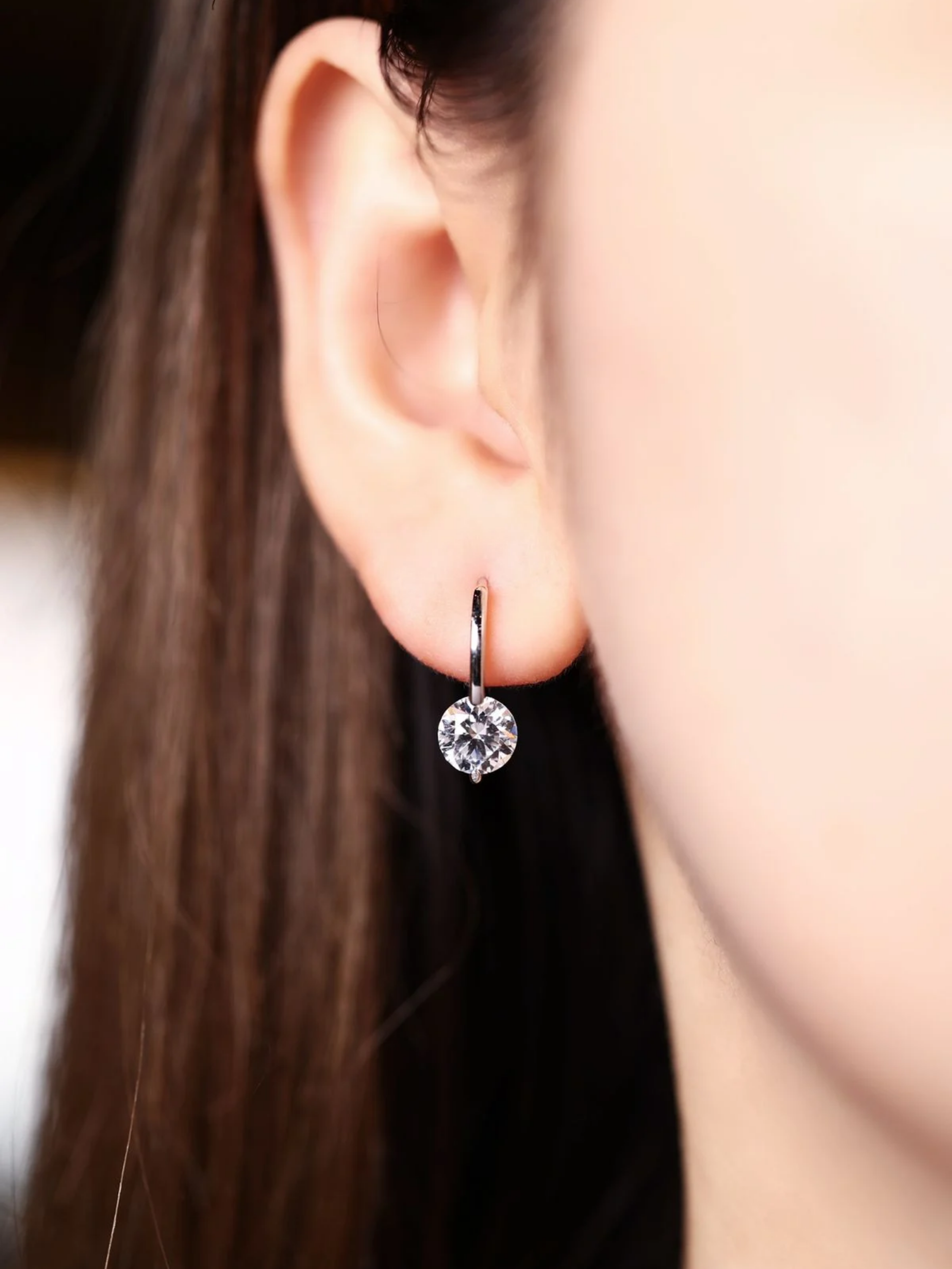 Roid Drop Earrings