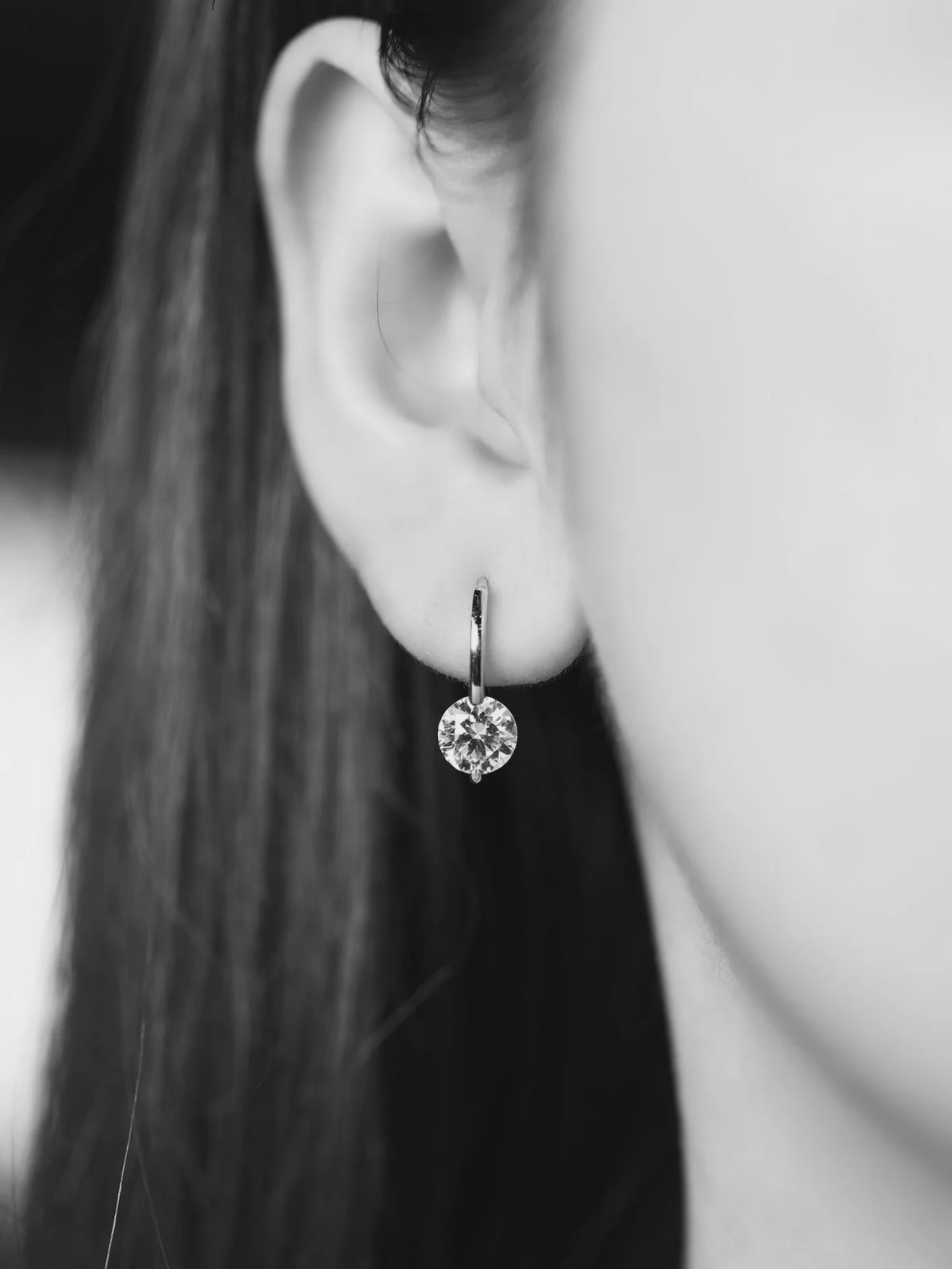Roid Drop Earrings