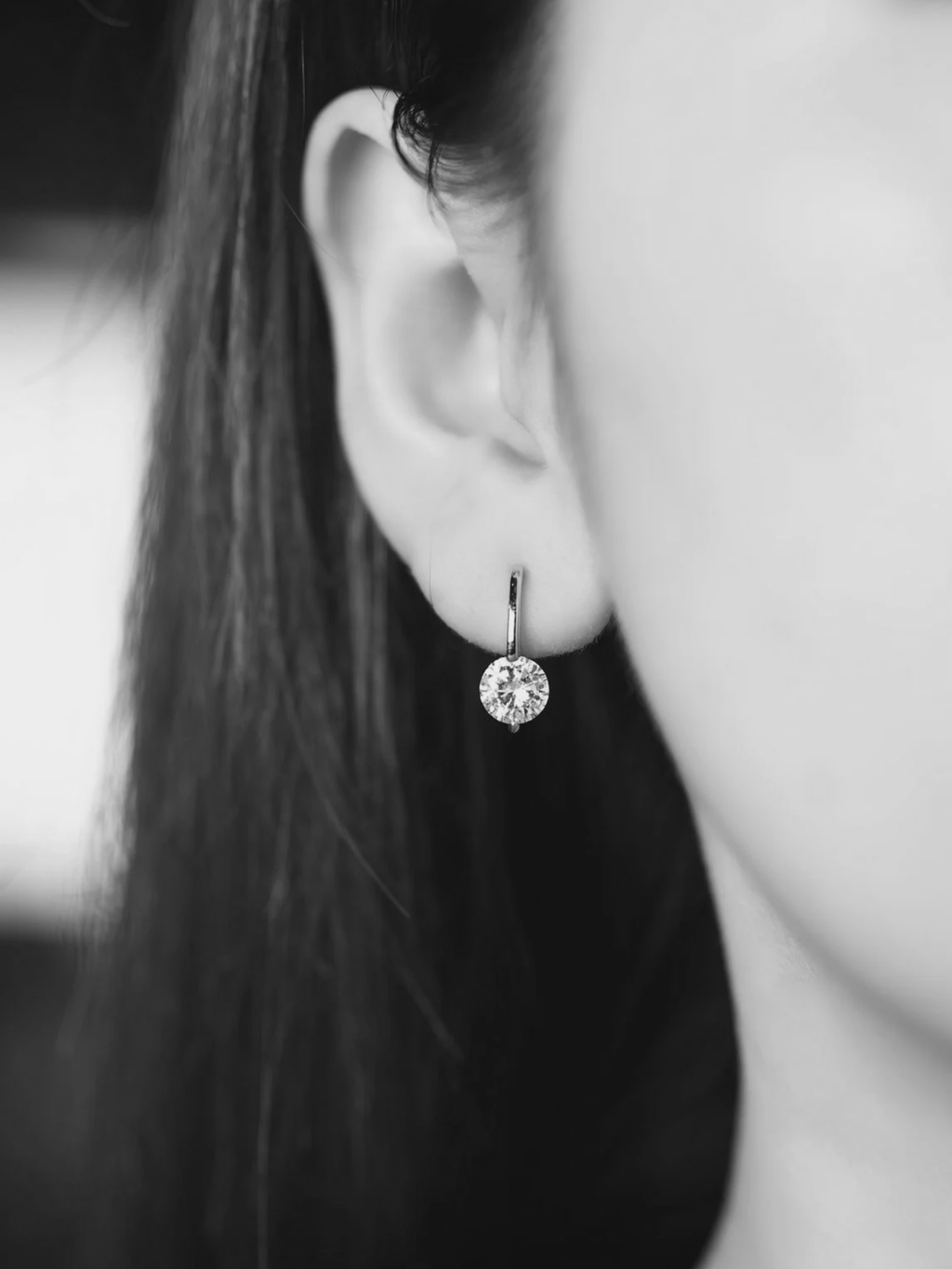 Roid Drop Earrings