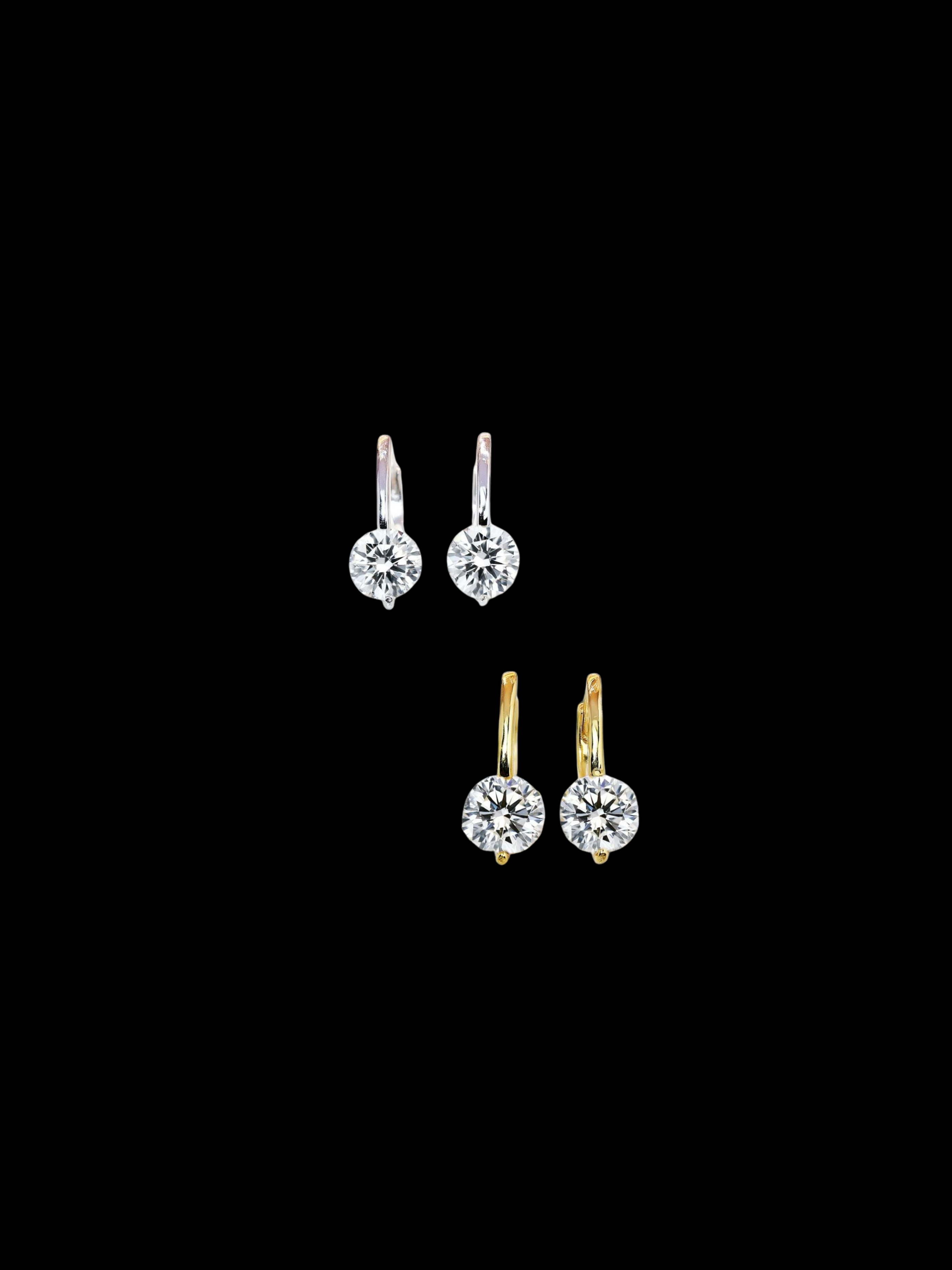 Roid Drop Earrings
