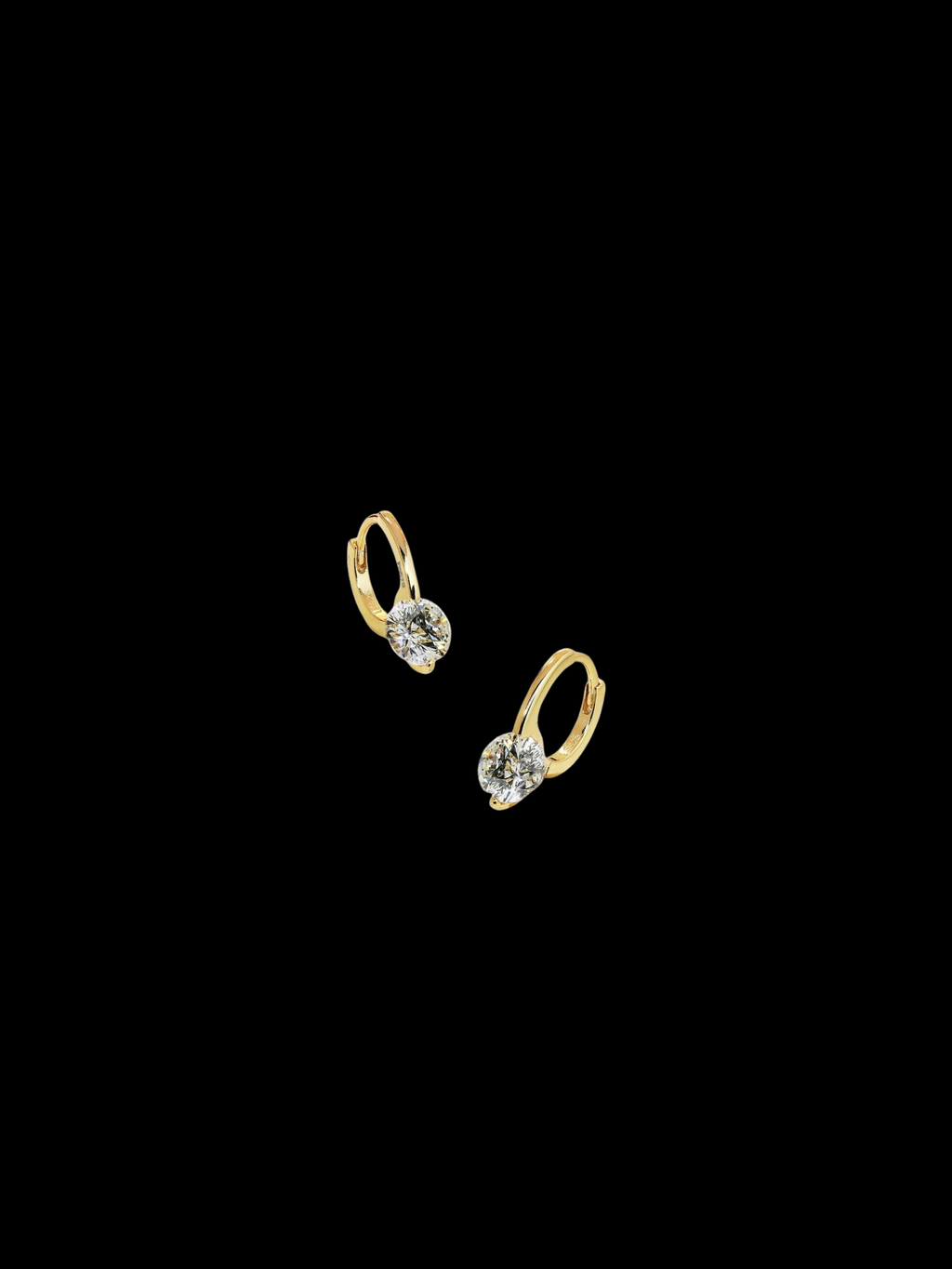 Roid Drop Earrings